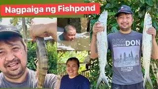 Nagpaiga ng Palaisdaan | Daming malalaking isda | thank you @ateNelsTV1614 