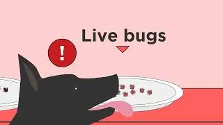K9 Bed Bug Inspection- Premier Bed Bug Solutions