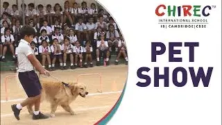 Pet Show - Wag Walk Chirp