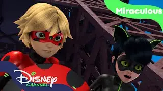 Ladybug och Cat Noir byter krafter| Miraculous | Disney Channel Sverige