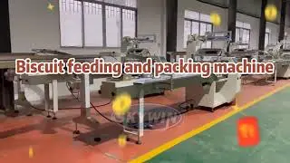 Biscuit Feeding System with Biscuit packaging machine in  Flowpack