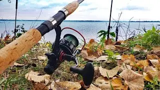 Cold Water Carp Fishing! (Late Fall Bank Fishing)