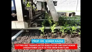 CUTTING AND TRANSPLANTER ROBOTS FOR CHRYSANTHEMUM (KRİZANTEMDE ÇELİK VE FİDE DİKİM ROBOTLARI)