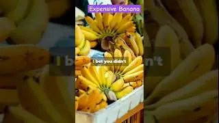 The World's Most Expensive Banana 🍌🍌🍌🍌 || Farm Modernization #banana #facts