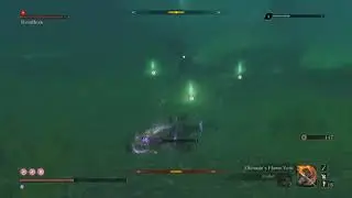 Sekiro Easy Underwater Headless No Confetti