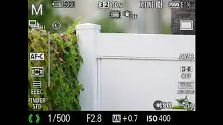 Sony A9 + Nikon 300VR ii + Commlite Pro adapter