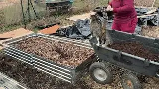 Finishing preparing my garden for the winter