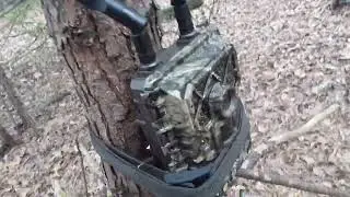 BIGFOOT OR DOGMAN YOU DECIDE STRANGE EVIDENCE FOUND APRIL 2022