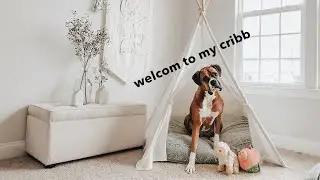 Simple DIY Dog HOME MAKEOVER ⛺ Renovating My Dog's Home