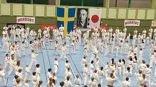 Karate autumn term ending training with belt giving moment(day 1)#karate #belt #karatekid