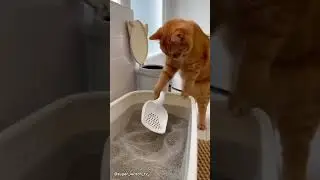 Отлично! 🤣