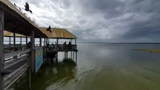 Gator Joe's Beach Bar & Grill in Ocklawaha, FL