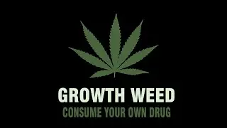 WEED PLANTS Update 1.3 FIVEM ESX / ESX LEGACY [PAID]
