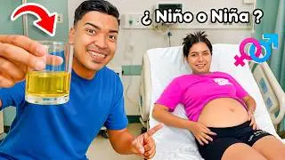 EL SEXO de MI BEBE &iquest;NI&Ntilde;O o NI&Ntilde;A? MITOS de MAMA - ALFREDO LARIN