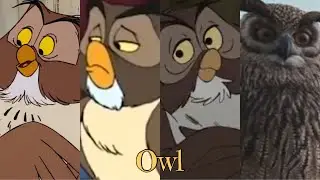 Owl (Winnie The Pooh) | Evolution In Movies & TV (1966 - 2020)