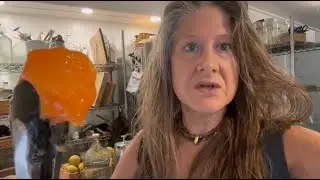 Persimmon Banana Sorbet On The Sana Supreme Juicer Heidi Rose Homesteading Florida In November