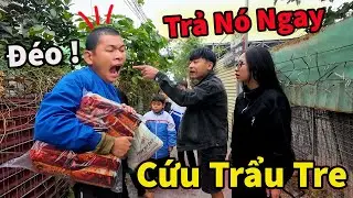 Hỏng Rồi ! Hậu C&aacute;o V&agrave; My Cứu Trẩu Tre Vụ Trấn Lột Cay Cay