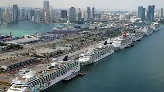 Miami Road trip short video #miami#miamibeach#royalcaribbean#crusing#ship#vacation#florida 