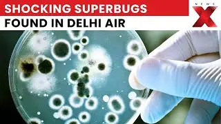 Are Antibiotic-Resistant Superbugs Lurking in Delhi-NCR&rsquo;s Air?