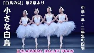256【小さな白鳥】中学生メンバーが「四羽」踊ります！リハーサルから本番までをまとめました！＃クラシックバレエフレイス＃鹿児島のバレエ教室＃バレエ発表会＃バレエコンサート