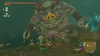 Hearty Elixir, Jogou Shrine | The Legend of Zelda: Tears of the Kingdom