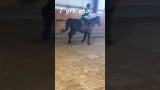 Some riding evolution xD #equestrian #horses #rider #fails #shorts