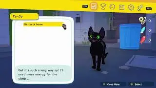 Gamepass Little Kitty Big City