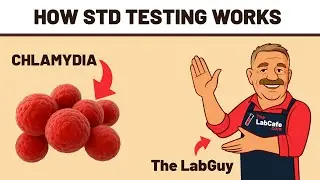 How Chlamydia Testing Works