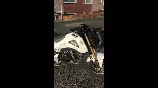Honda MSX125 - Anodized Racing Exhaust Start up