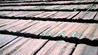Pacific West Home Inspection Cal Shake Roof