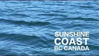 Boating on the Sunshine Coast