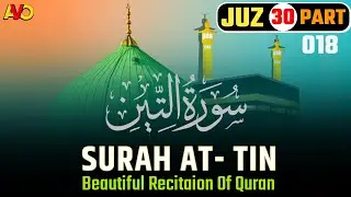 Surah 95 | Surah At-Tin Full | Quran | Aadil Voice Official | Juz 30