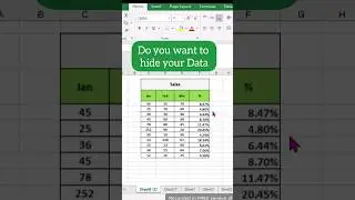 Hide your Data in Excel.#youtubeshorts #asmr #shorts #short