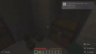 Minecraft_20250126080631
