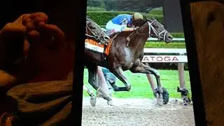 Horacio the handsnake - Uncle Mo (racehorse)