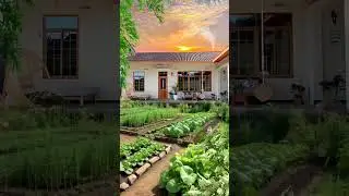 Cozy House | Simple Life #countryside