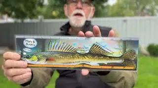 Cards That Spark Laughter & Memories | Measures of Fun #MeasuresOfFun #FishingCard #golfcards