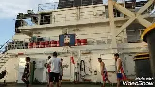 Eurosea scandal 2019