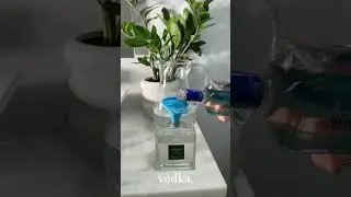 DIY Reed Essential Oil Defuser Tutorial