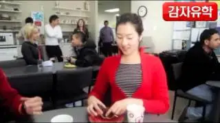 [뉴질랜드어학연수] CCEL - 뉴질랜드유학원 감자유학에서 알려드리는 뉴질랜드어학연수 뉴질랜드어학원 오클랜드어학연수 오클랜드어학원