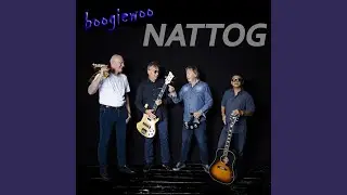 Nattog