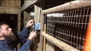 Electrician Changes Broken Switch