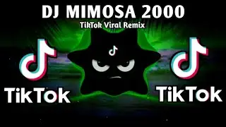 DJ MIMOSA 2000 X TIKTOK MUSHUP VIRAL (TIKTOK BUDOTS REMIX) 2026