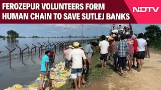 Punjab Floods | Volunteers Bring Soil And Sandbags To Save Sutlej Embankment In Ferozepur