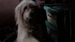 MOV09815