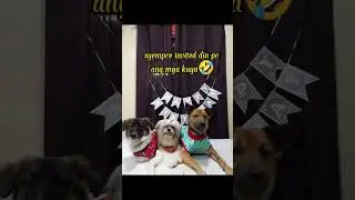 Birthday ni Balbon (fullvideo) #K2CFur #birthdaynikaydeeangbalbon #pancakepabitin