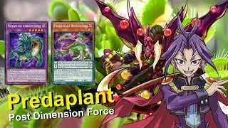 Predaplant post Dimension Force (January 2022)