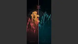 The Real Logic Behind Bytnex | Clear, Simple, Non-Crypto USD SystemExplained