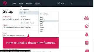 ProcessWire ProFields Table: new features in Table v28 and v29
