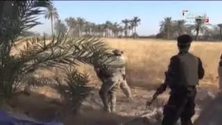 ميليشيا #حزب_الله تقاتل بجزء من الكرمة بالأنبار
